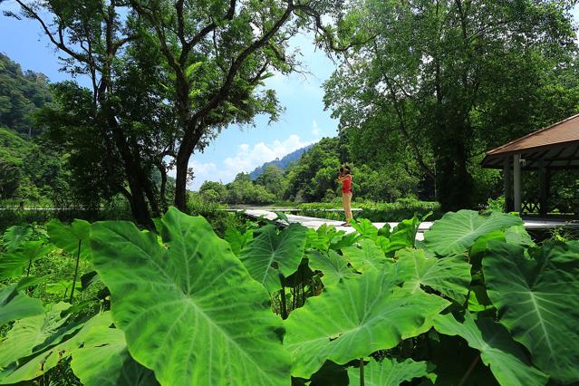 Thale Ban National Park